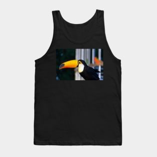 yellow hornbill Tank Top